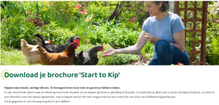 Gratis brochure 'start to kip' over kippen houden