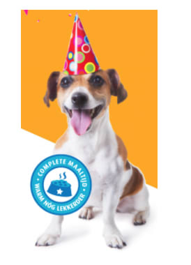 Gratis Smolke stoommaaltijd voor de hond