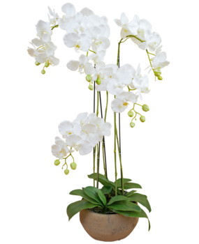 40% korting op kunstplanten en kunstbloemen in de sale bij Easyplants