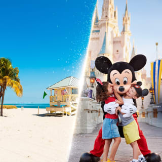 Walt Disney World Orlando y Miami Hotel y vuelos desde 1,026€ con Logitravel