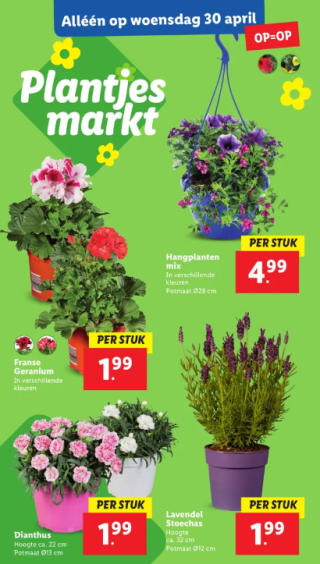 Plantjesmarkt bij de Lidl
