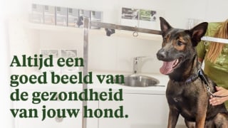 Gratis gezondheidscheck voor je hond bij Welkoop