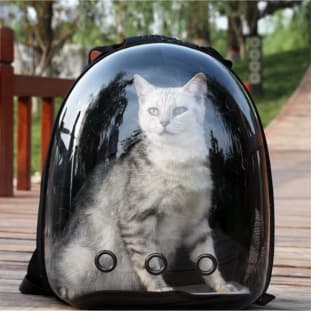 Cápsula para transportar gatos Trasparente por solo 10,95€