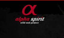 Descuento 33% comida húmeda gatos