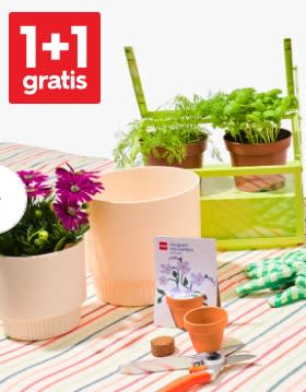 1+1 gratis op tuinartikelen bij HEMA