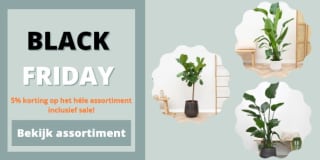 5% korting op het gehele assortiment inclusief sale bij Green Bubble