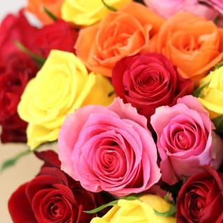 Brassée de roses multicolores 45 Roses + 10 offertes à 26,95€