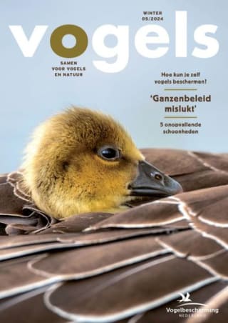 Gratis Tijdschrift Vogels via Vogelbescherming
