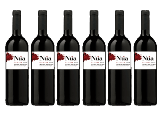 6 Botellas de Núa Crianza 2019 por 35€