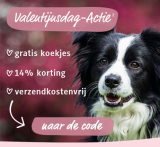 14% korting + gratis koekjes + gratis verzending, alles tegelijk!