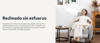 Sillón relax XC2 Flexispot por 129,99€