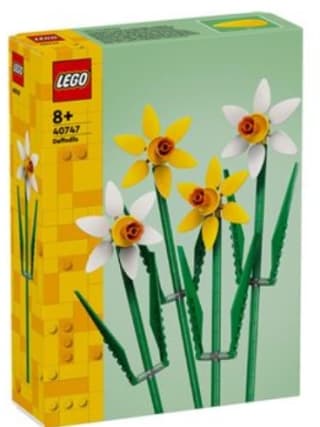 LEGO 40747 Creator Narcisos por 11,99€.