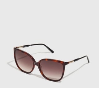 Gafas LACOSTE de sol marrón por solo 34€
