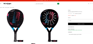 Pala de pádel adulto RAPTOR V2 Prince por solo 59,97€