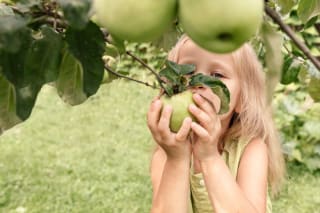 Gratis fruit plukken in Halle