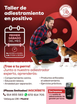 Taller de adiestramiento Gratis con Kiwoko