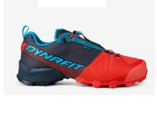 Zapatillas de Hombre Dynafit Translpr GTX por 68€