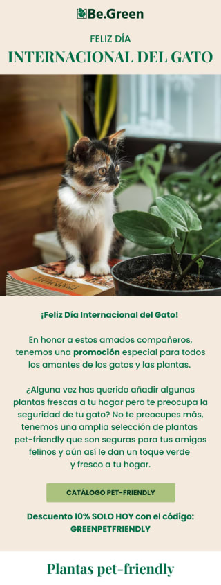 10% descuento en tu compra en Be.Green