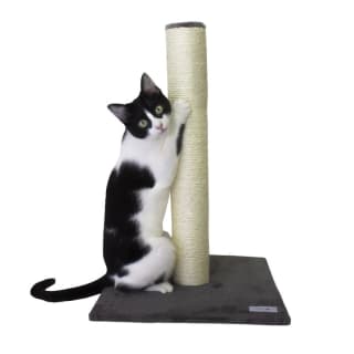 Pole rascador para gatos a 13,94€