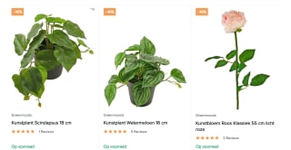40% korting op kunstplanten en kunstbloemen in de sale bij Easyplants