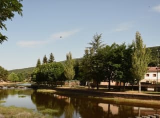 Hotel 4* Vinuesa Soria desde 19€ por persona.