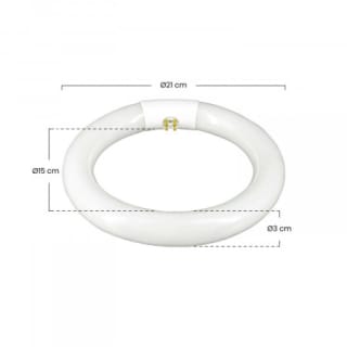 6 Tubos Fluorescentes Circulares T9 G10Q de 200W 6400K por 17,52€