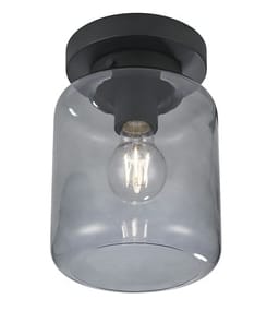 Plafondlamp Juno rookglas voor €14,40 bij Karwei