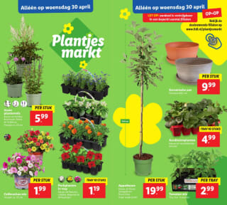 Plantjesmarkt bij de Lidl