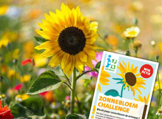 Gratis zakje zonnebloemzaadjes bij Intratuin in de winkels