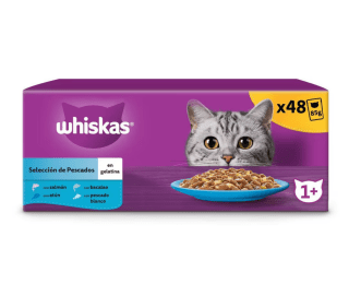 Whiskas Comida Húmeda para Gatos Adultos Selección Pescados en Gelatina 4x12x85g a solo 14,72€
