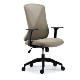 BackSupport ergonomische bureaustoel BS9 voor €139,99 dmv code bij Flexispot