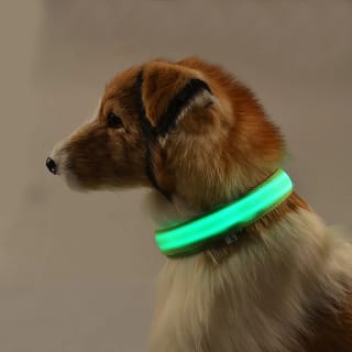 Coleira de Led para Cães e gatos - R$ 4,98