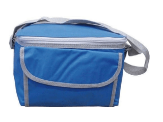 Nevera portátil PAPILLON de 5 litros por solo 5€