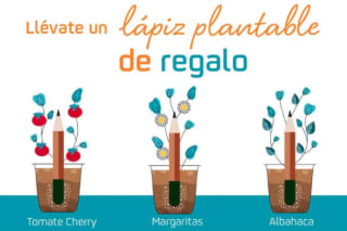 Llévate un lápiz plantable por compras superiores a 40€ en Repsol con Waylet