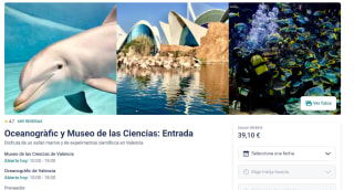 Entrada Oceanogràfic y Museo de las Ciencias de Valencia: Sin colas por 39,10€