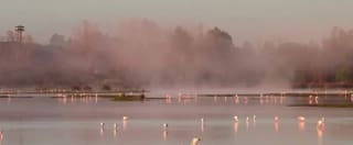 1 Noche Senator Huelva 3* + Visita en 4X4 el Parque Nacional de Doñana por 48€