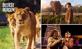 Entree ticket voor Safaripark Beekse Bergen voor €18,50 via Social Deal