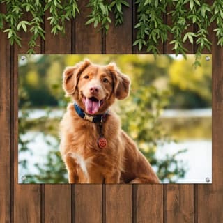 FotoCadeau kortingscode voor 60% korting op je bestelling