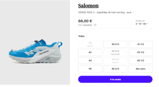 Zapatillas de Hombre Salomon SENSE RIDE 5 por 66€
