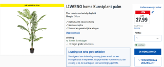 LIVARNO home Kunstplant palm, Hoogte: 190 cm voor €27,99 in de Lidl webshop
