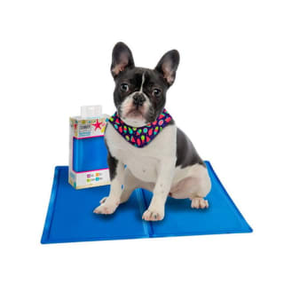 2x1 Manta refrescante para perros y gatos [Recogida gratis en tienda]