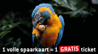 Sparen voor gratis ARTIS tickets bij Dekamarkt