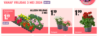 Perkplantjes 10 voor €1,19 bij Gamma tijdens plantjesmarkt