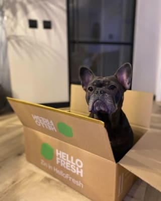 Tot €85 korting op je eerste 4 boxen + cadeaus met de Hellofresh kortingcode