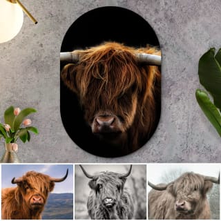 62% korting op muurovalen met unieke collectiebeelden (bv. 60x40 cm voor maar €14,42)