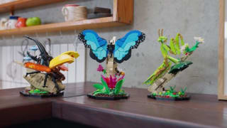 LEGO Ideas "De Insectencollectie" (21342) voor €71,99 met Bol Select