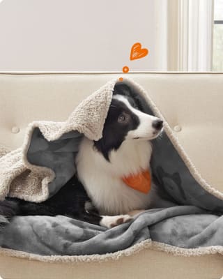 FEANDREA huisdierdeken 152L x 127 voor €18,49 bij Amazon