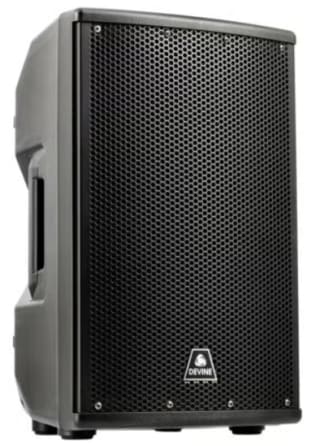 Devine Axeo 10 inch speaker voor €49 bij Bax-shop