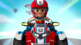 Paw Patrol Basic Voertuig Rocky voor €11,99 bij Bol