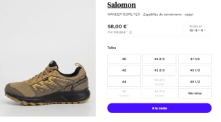 Zapatillas de Trekking de Hombre Salomon WANDER GTX por 58€